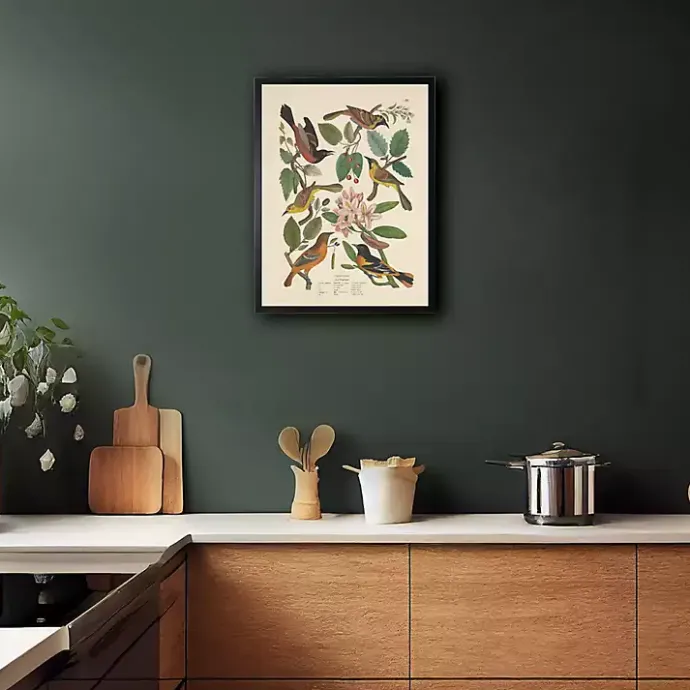 Sale Kirklands Home Vintage Oriole Birds Framed Art Print