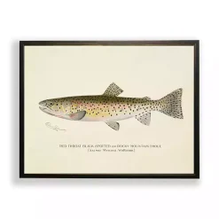 Outlet Kirklands Home Vintage Rocky Mountain Trout Framed Art Print