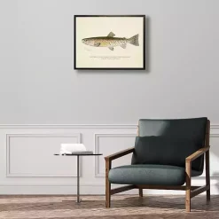 Outlet Kirklands Home Vintage Rocky Mountain Trout Framed Art Print