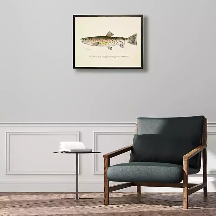 Outlet Kirklands Home Vintage Rocky Mountain Trout Framed Art Print