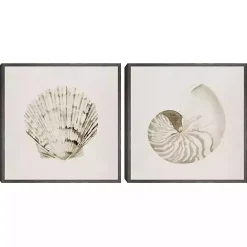 Best Kirklands Home Vintage Shells Framed Canvas Art Prints, Set of 2 Ivory