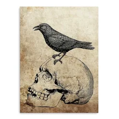 Online Kirklands Home Vintage Skull & Raven Canvas Art Print