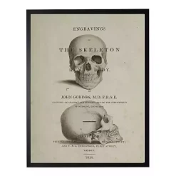 New Kirklands Home Vintage Skull Framed Halloween Wall Art