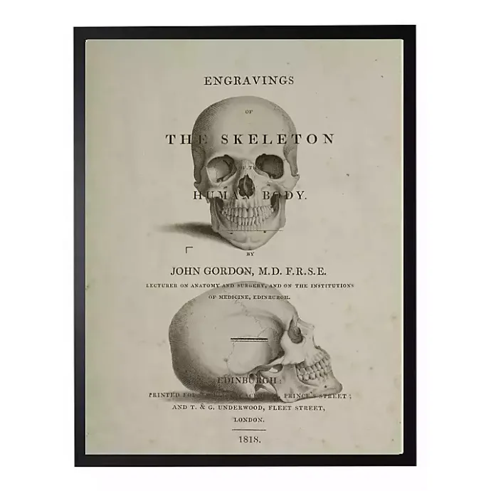 New Kirklands Home Vintage Skull Framed Halloween Wall Art