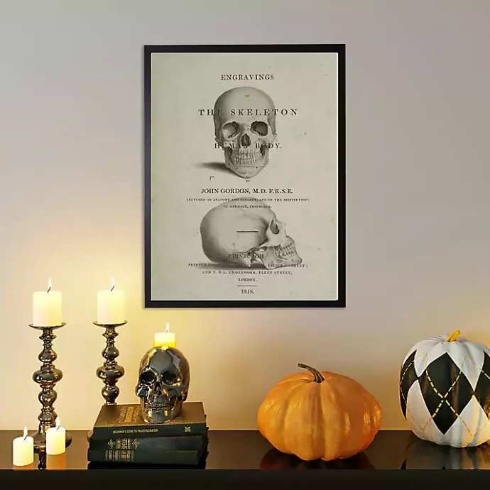 New Kirklands Home Vintage Skull Framed Halloween Wall Art