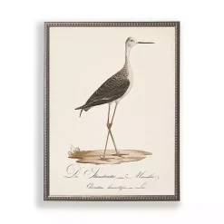 Clearance Kirklands Home Vintage Waterbird Facing Right Framed Art Print