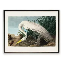 Best Kirklands Home Vintage White Heron With Lizard Framed Art Print