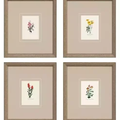 Clearance Kirklands Home Western Wildflower Framed Art Prints, Set of