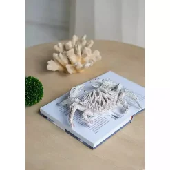 Online Kirklands Home Coral Crab Figurine White