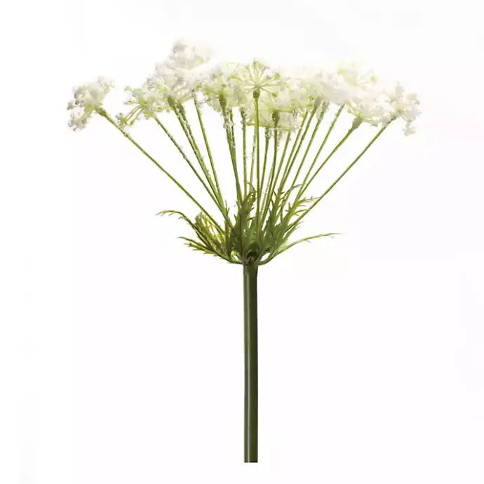 Outlet Kirklands Home Queen Anne's Lace Stems, Set of 2 White