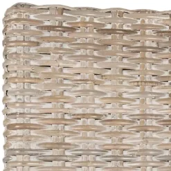 Sale Kirklands Home White Rattan Curved Legs Dining Chairs, Set of 2