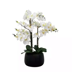 Outlet Kirklands Home White Real Touch Orchid Arrangement in Black Pot