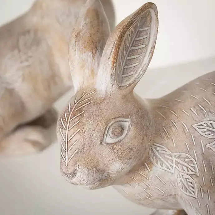 Online Kirklands Home Whitewash Floral Boho Bunny Figurines, Set of 2 Brown
