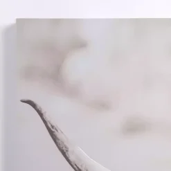 Discount Kirklands Home Wild Highland Cow Canvas Art Print