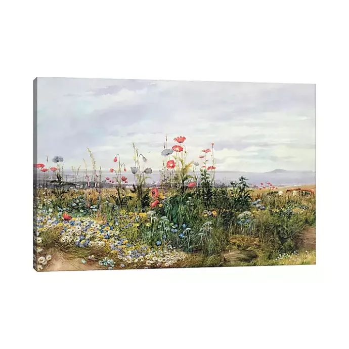 Discount Kirklands Home Wildflower With a View Canvas Art Print Multicolor