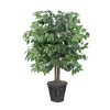 Best Kirklands Home Wood Trunk Ficus Bush in Rattan Basket
