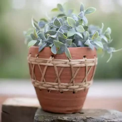 Best Kirklands Home Woven Diamond Terracotta Planter Tan