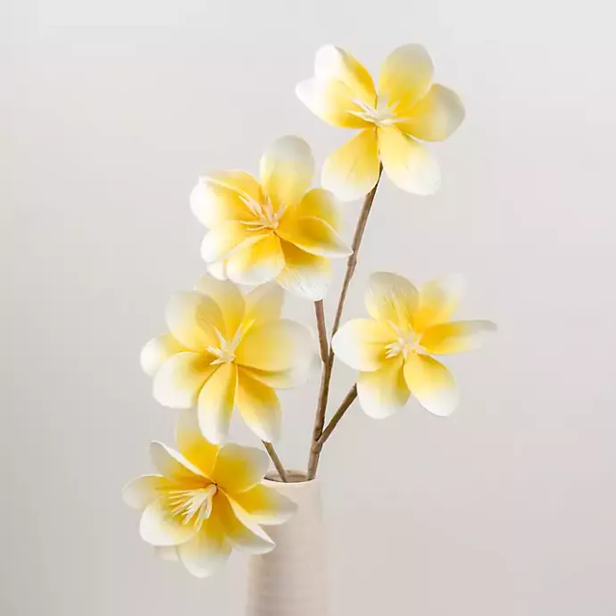 Best Kirklands Home Yellow Japanese Magnolia Foam Spray