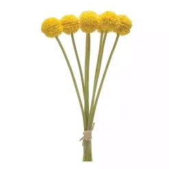 Best Kirklands Home Pod Sprays, Set of 6 Yellow