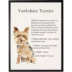 New Kirklands Home Yorkshire Terrier Facts Framed Wall Plaque