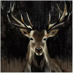 Kirklands Home Young Buck Giclee Canvas Art Print, 30x30 in. Black